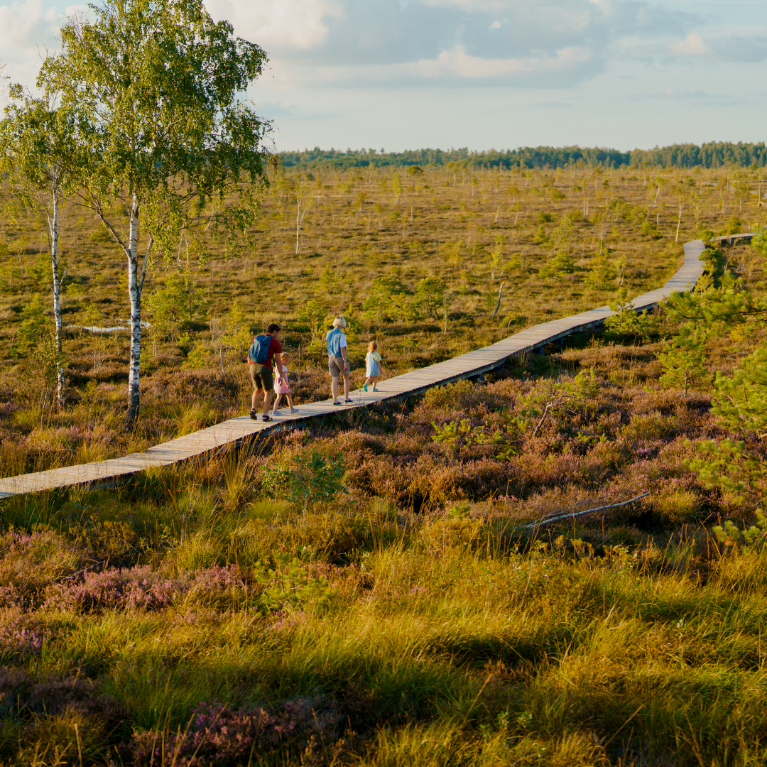 4_Lithuanian-main-tourism-products-Nature-tourism_Kipras-Štreimikis